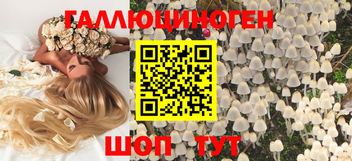 Саранск  Псилоцибиновые грибы Magic Shrooms  Вход с VPN 